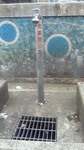 200906031449000.jpg