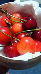 200906222222000.jpg