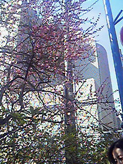 201002251149000.jpg