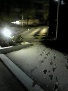 201003092115000.jpg