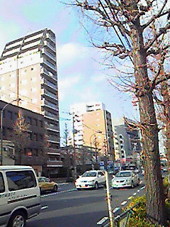 201003141604000.jpg