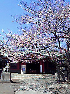 201003301038000.jpg